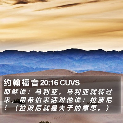 约 翰 福 音 20:16 CUVS Bible Verse Image