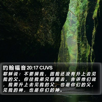 约 翰 福 音 20:17 CUVS Bible Verse Image