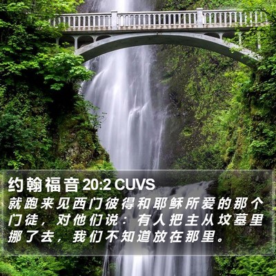 约 翰 福 音 20:2 CUVS Bible Verse Image