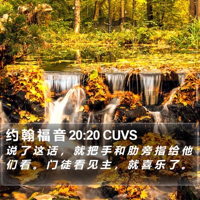 约 翰 福 音 20:20 CUVS Bible Verse Image