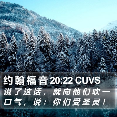 约 翰 福 音 20:22 CUVS Bible Verse Image