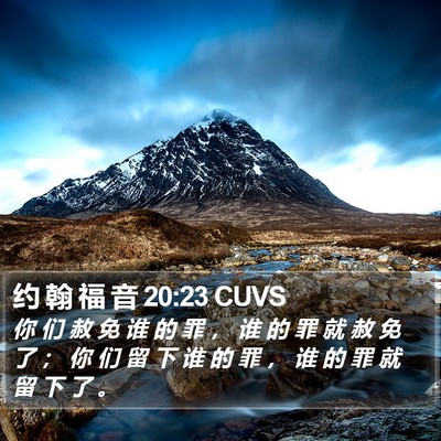 约 翰 福 音 20:23 CUVS Bible Verse Image