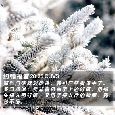 约 翰 福 音 20:25 CUVS Bible Verse Image