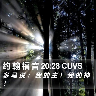 约 翰 福 音 20:28 CUVS Bible Verse Image