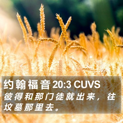 约 翰 福 音 20:3 CUVS Bible Verse Image