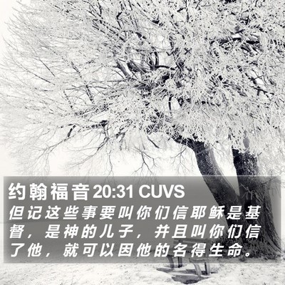 约 翰 福 音 20:31 CUVS Bible Verse Image