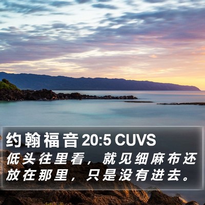 约 翰 福 音 20:5 CUVS Bible Verse Image