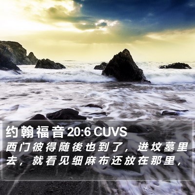 约 翰 福 音 20:6 CUVS Bible Verse Image
