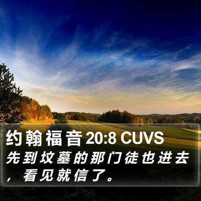 约 翰 福 音 20:8 CUVS Bible Verse Image