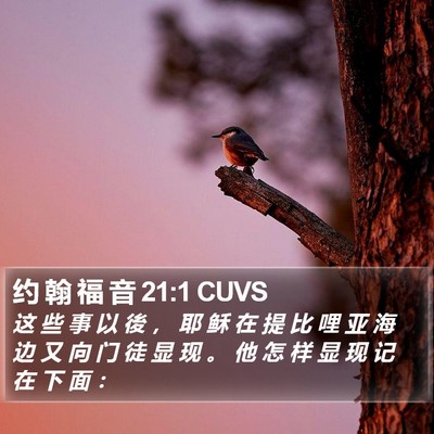约 翰 福 音 21:1 CUVS Bible Verse Image