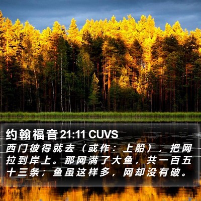 约 翰 福 音 21:11 CUVS Bible Verse Image