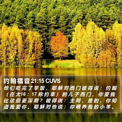 约 翰 福 音 21:15 CUVS Bible Verse Image