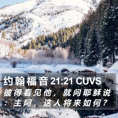 约 翰 福 音 21:21 CUVS Bible Verse Image