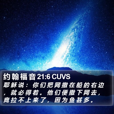 约 翰 福 音 21:6 CUVS Bible Verse Image