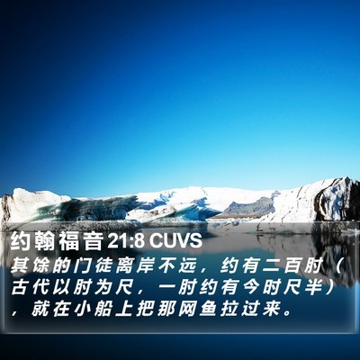 约 翰 福 音 21:8 CUVS Bible Verse Image