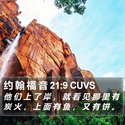 约 翰 福 音 21:9 CUVS Bible Verse Image