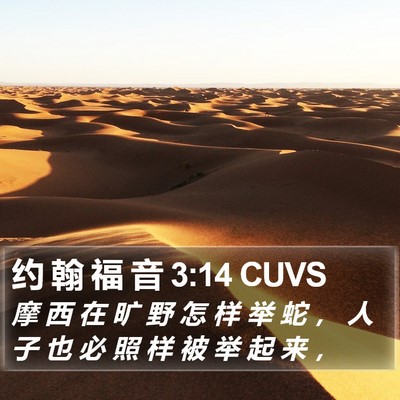 约 翰 福 音 3:14 CUVS Bible Verse Image