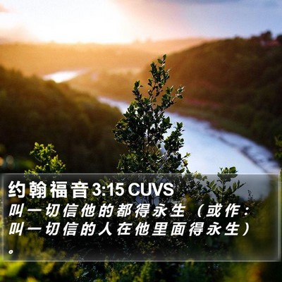 约 翰 福 音 3:15 CUVS Bible Verse Image