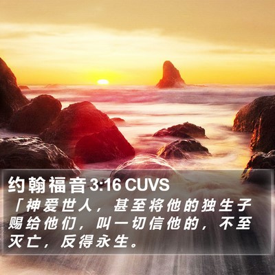 约 翰 福 音 3:16 CUVS Bible Verse Image