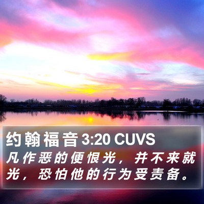 约 翰 福 音 3:20 CUVS Bible Verse Image