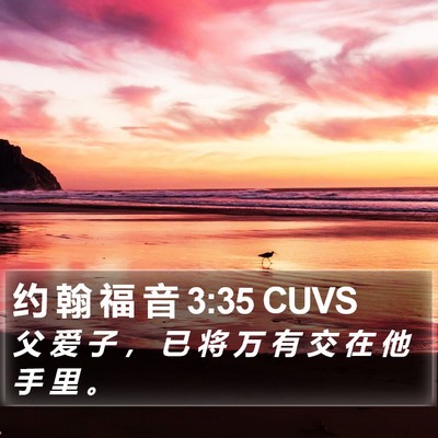 约 翰 福 音 3:35 CUVS Bible Verse Image