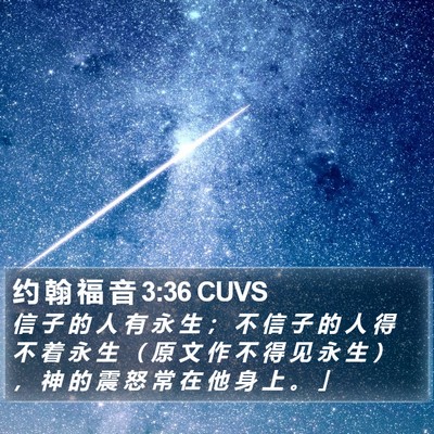 约 翰 福 音 3:36 CUVS Bible Verse Image