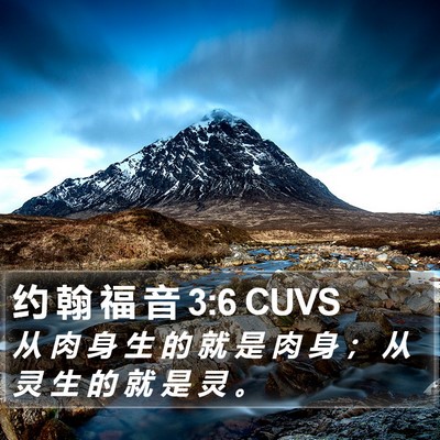 约 翰 福 音 3:6 CUVS Bible Verse Image