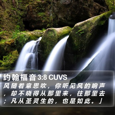 约 翰 福 音 3:8 CUVS Bible Verse Image