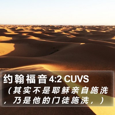 约 翰 福 音 4:2 CUVS Bible Verse Image