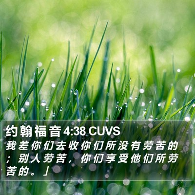 约 翰 福 音 4:38 CUVS Bible Verse Image