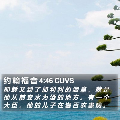 约 翰 福 音 4:46 CUVS Bible Verse Image