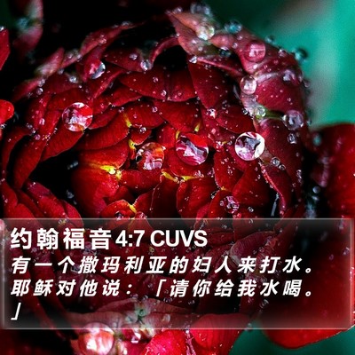 约 翰 福 音 4:7 CUVS Bible Verse Image