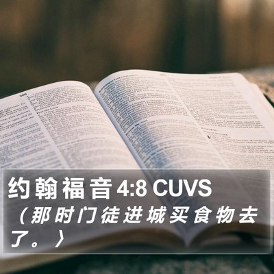 约 翰 福 音 4:8 CUVS Bible Verse Image