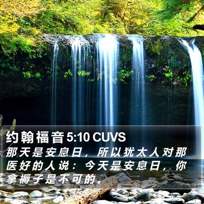 约 翰 福 音 5:10 CUVS Bible Verse Image