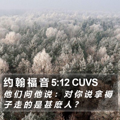 约 翰 福 音 5:12 CUVS Bible Verse Image