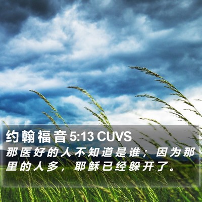 约 翰 福 音 5:13 CUVS Bible Verse Image