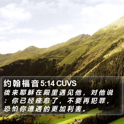 约 翰 福 音 5:14 CUVS Bible Verse Image