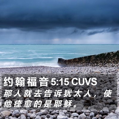 约 翰 福 音 5:15 CUVS Bible Verse Image