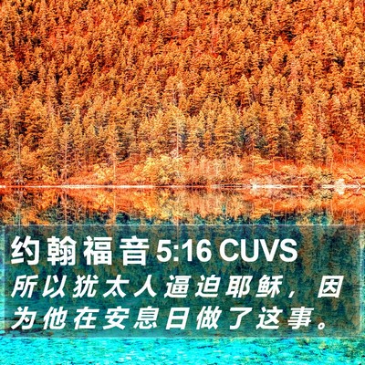 约 翰 福 音 5:16 CUVS Bible Verse Image