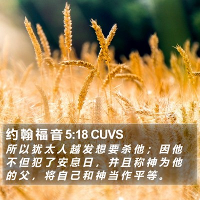 约 翰 福 音 5:18 CUVS Bible Verse Image