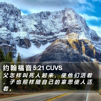 约 翰 福 音 5:21 CUVS Bible Verse Image