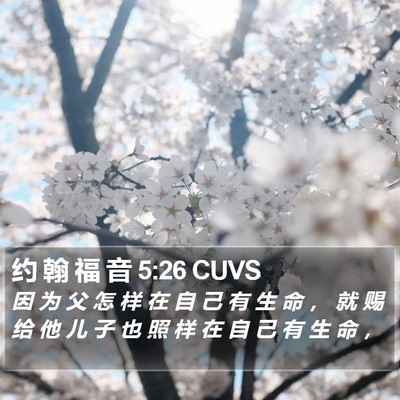 约 翰 福 音 5:26 CUVS Bible Verse Image