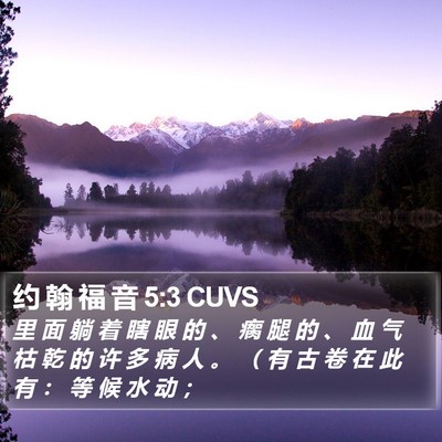 约 翰 福 音 5:3 CUVS Bible Verse Image