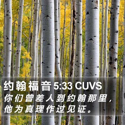 约 翰 福 音 5:33 CUVS Bible Verse Image