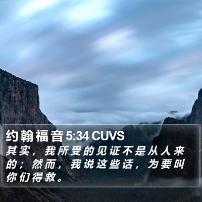 约 翰 福 音 5:34 CUVS Bible Verse Image
