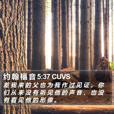 约 翰 福 音 5:37 CUVS Bible Verse Image