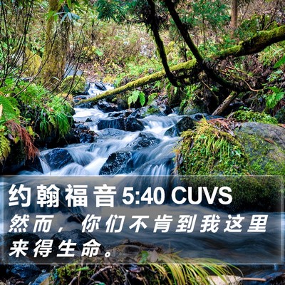 约 翰 福 音 5:40 CUVS Bible Verse Image