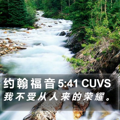 约 翰 福 音 5:41 CUVS Bible Verse Image