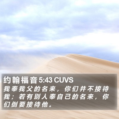 约 翰 福 音 5:43 CUVS Bible Verse Image