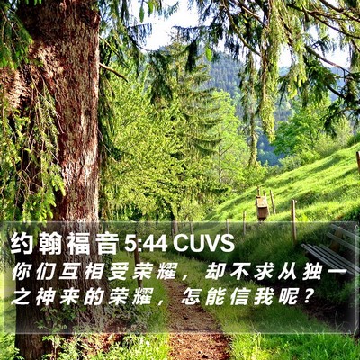 约 翰 福 音 5:44 CUVS Bible Verse Image